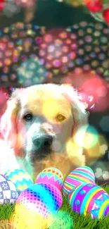 Golden retriever with colorful Easter eggs and bokeh lights.