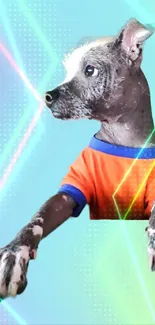 Unique dog in orange shirt on pastel background wallpaper.