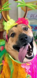 Cheerful dog in colorful Hawaiian outfit at the beach.