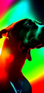 Dog silhouette with neon rainbow glow and vibrant colors.