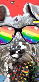 Trendy dog with rainbow sunglasses on colorful background.