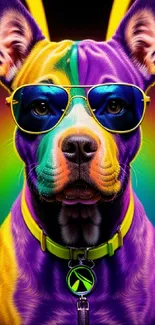 Colorful dog with sunglasses and neon collar in vibrant background.