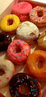 Vibrant collection of assorted donuts in a box.