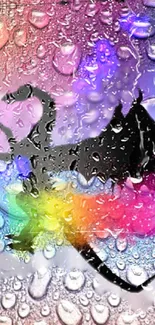 Colorful dragon silhouette with raindrop texture wallpaper.