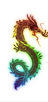 Colorful dragon on a white background wallpaper.