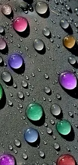 Colorful water droplets on black background wallpaper.