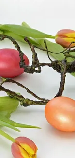 Colorful eggs and tulips on white backdrop.