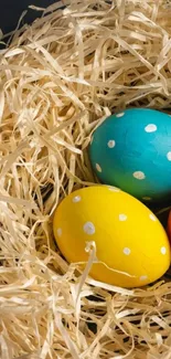 Colorful polka dot Easter eggs nestled in beige straw.