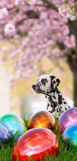 Dalmatian puppy with colorful Easter eggs and cherry blossoms.