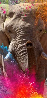 Elephant with vibrant color splash background.