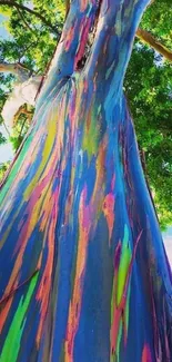 Vibrant eucalyptus tree with rainbow colors against a bright sky.