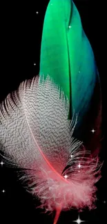 Vibrant green and pink feather on a dark background.