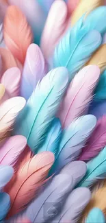 Colorful pastel feathers mobile wallpaper, soft and vibrant.