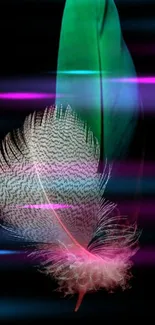 Colorful feather with neon glow on black background.