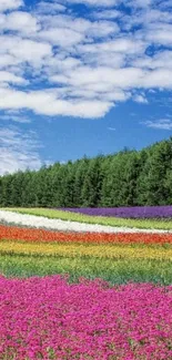 Vibrant flower field under a blue sky with lush green trees.