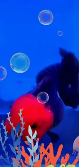 Red-headed fish in a vibrant aquarium with bubbles on a blue background.