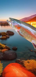 Rainbow trout over serene lake at sunset with mountains in the background.