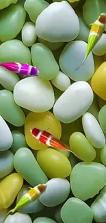 Colorful fish swimming over smooth pebbles.