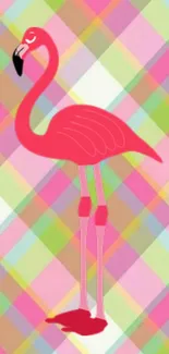 Colorful wallpaper with pink flamingo on plaid background.