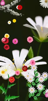 Colorful floral wallpaper with white flowers on a dark green background.