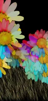 Colorful daisies art on black background wallpaper.