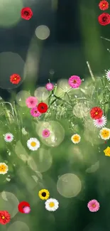 Colorful flowers with green bokeh background wallpaper.