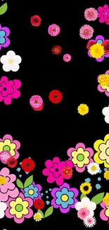 Colorful flowers border on black wallpaper.