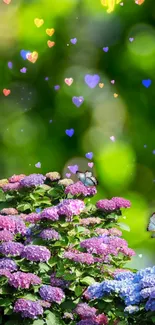 Colorful flowers and butterflies on a green background