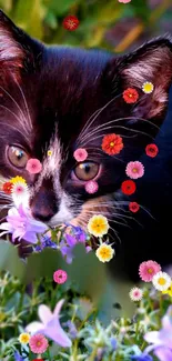 Black and white cat with colorful flowers.