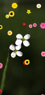 Vibrant mobile wallpaper with colorful flowers on a dark green background.