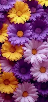 Vibrant mobile wallpaper with purple and yellow flowers.