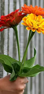 Vibrant bouquet of red, orange, and yellow flowers.