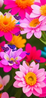 Vibrant pink and orange flower wallpaper.