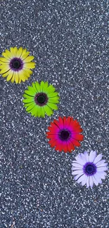 Colorful flowers on a glittery silver background mobile wallpaper.