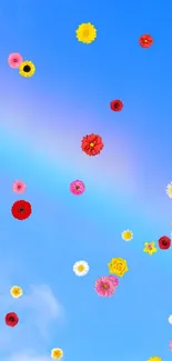 Colorful flower wallpaper with blue sky background.