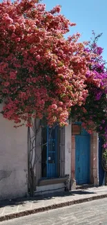 Street scene with pink and purple flowers on a sunny day.