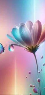 Colorful flower and butterfly with pastel background wallpaper.