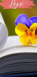 Vibrant pansy flower on open book with love theme.