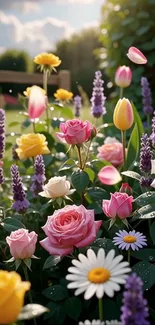 Colorful flower garden with diverse blooms in sunlight.