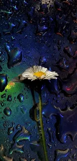 A vivid mobile wallpaper of a white flower against a colorful raindrop background.