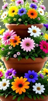 Colorful potted flower arrangement with vibrant blooms.
