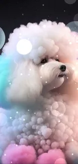 Colorful and fluffy dog surrounded by pastel spheres, creating a dreamy look.