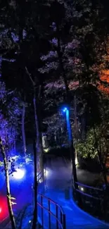 Colorful illuminated forest path at night with vibrant lights.