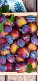 A vibrant display of fresh plums in a rustic wooden box with green leaves.