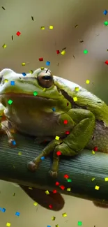 Green tree frog with colorful confetti on bamboo branch, perfect for vibrant decoration.