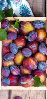 Vibrant plums in a wooden box on rustic background.