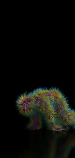 Colorful fuzzy creature on black background, abstract art.