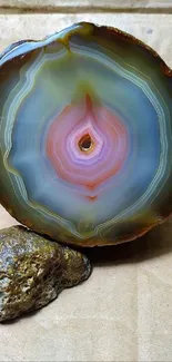 Vibrant geode agate slice with colorful layers.