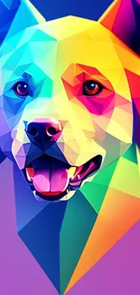 Vibrant geometric dog face art with colorful patterns.