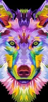 Vibrant geometric wolf illustration in a colorful artistic style on a dark background.